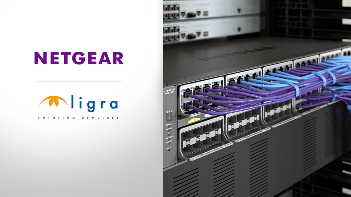 Ligra DS | Accordo di distribuzione tra Ligra Ds e NETGEAR
