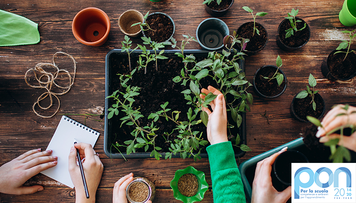 EDUGREEN