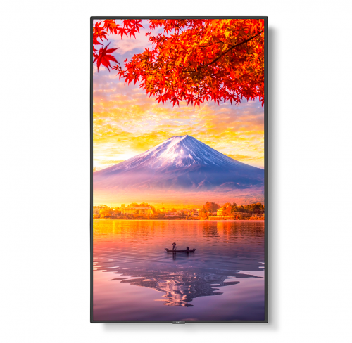 NEC MA551-MPi4 NEC MA551-MPi4